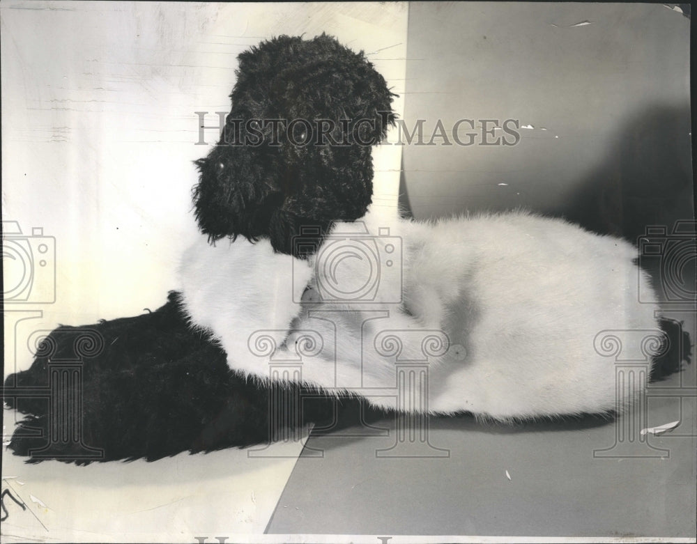 1958 Mink Dog Coat Knefel Fashion Studio - Historic Images