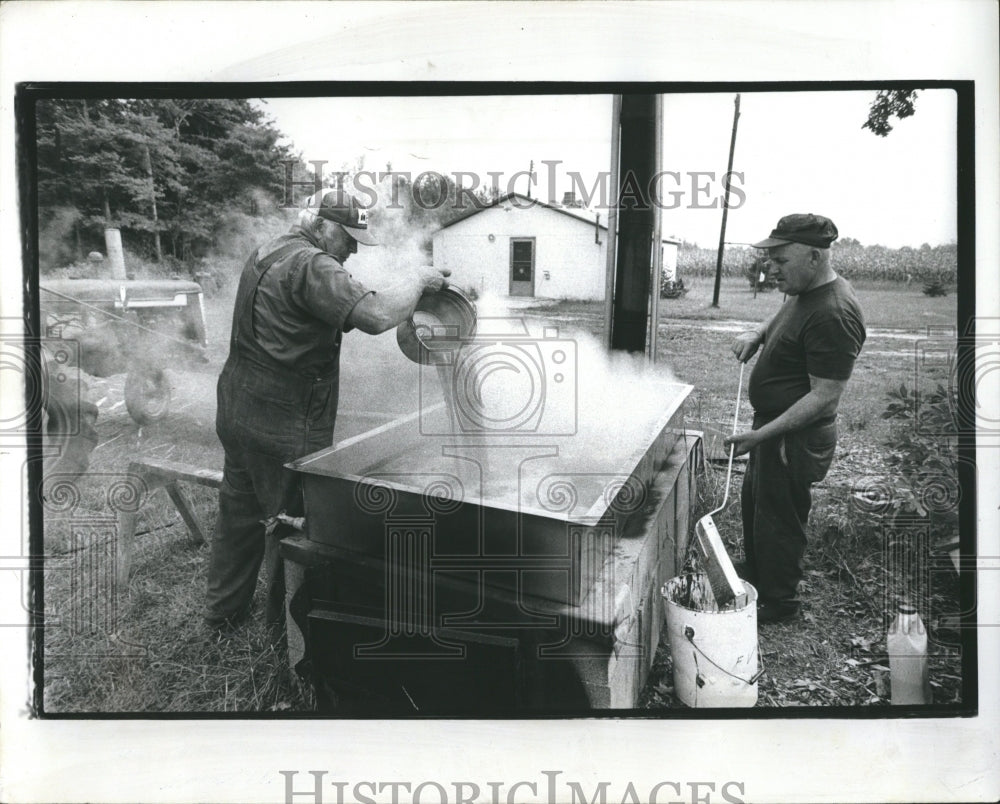 1978 Sorghum plants grass - Historic Images