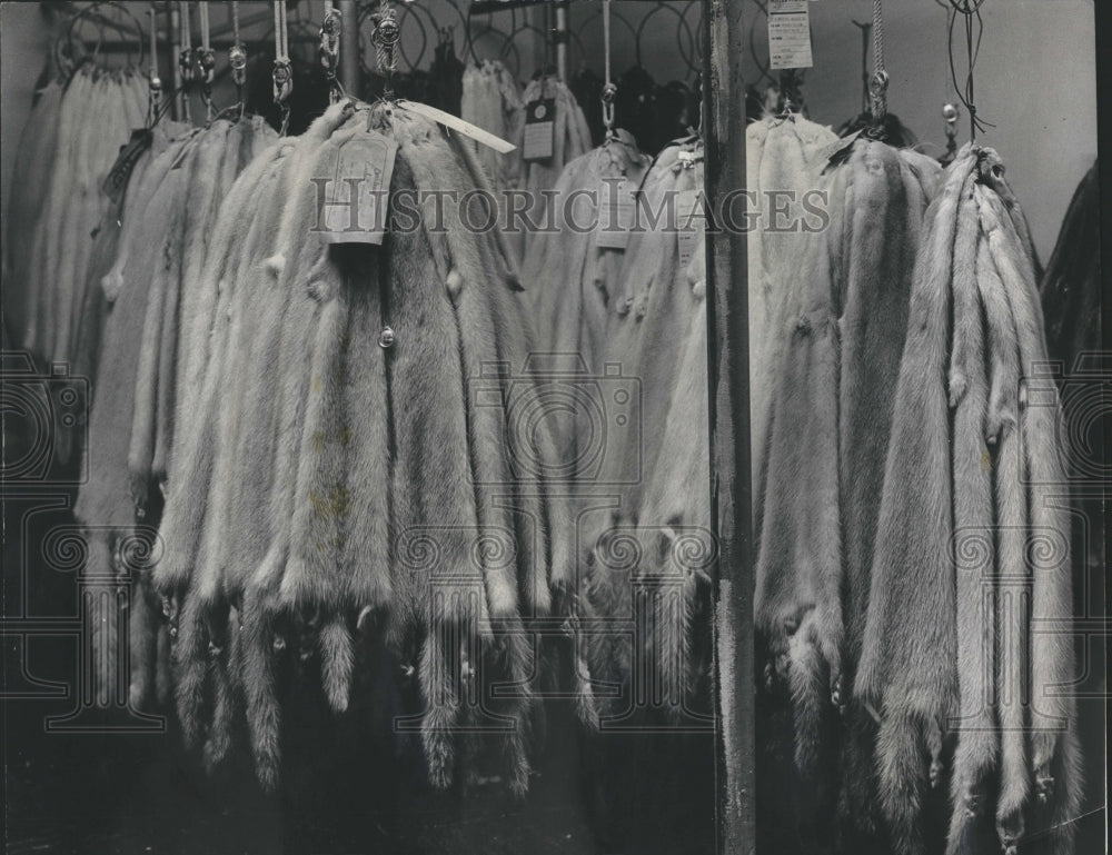 1966 ~urs Industry Dress bundles - Historic Images
