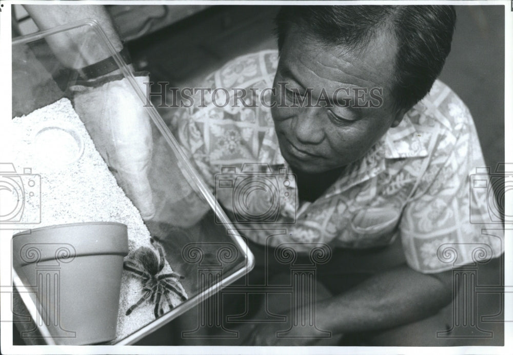 1992 Tarantula Albert Las Hawaii - Historic Images