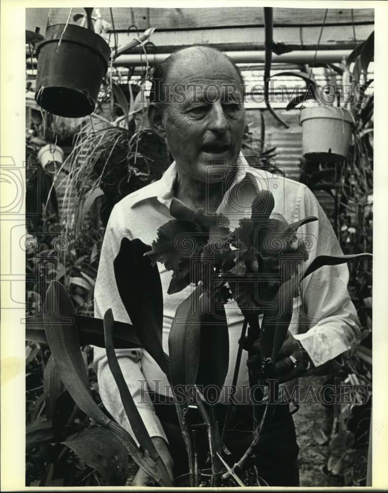 1984 Dalton Watson In Greenhouse With Orchids-Historic Images