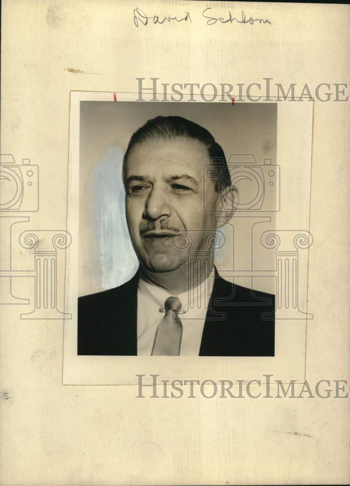 Portrait of David Schlom-Historic Images