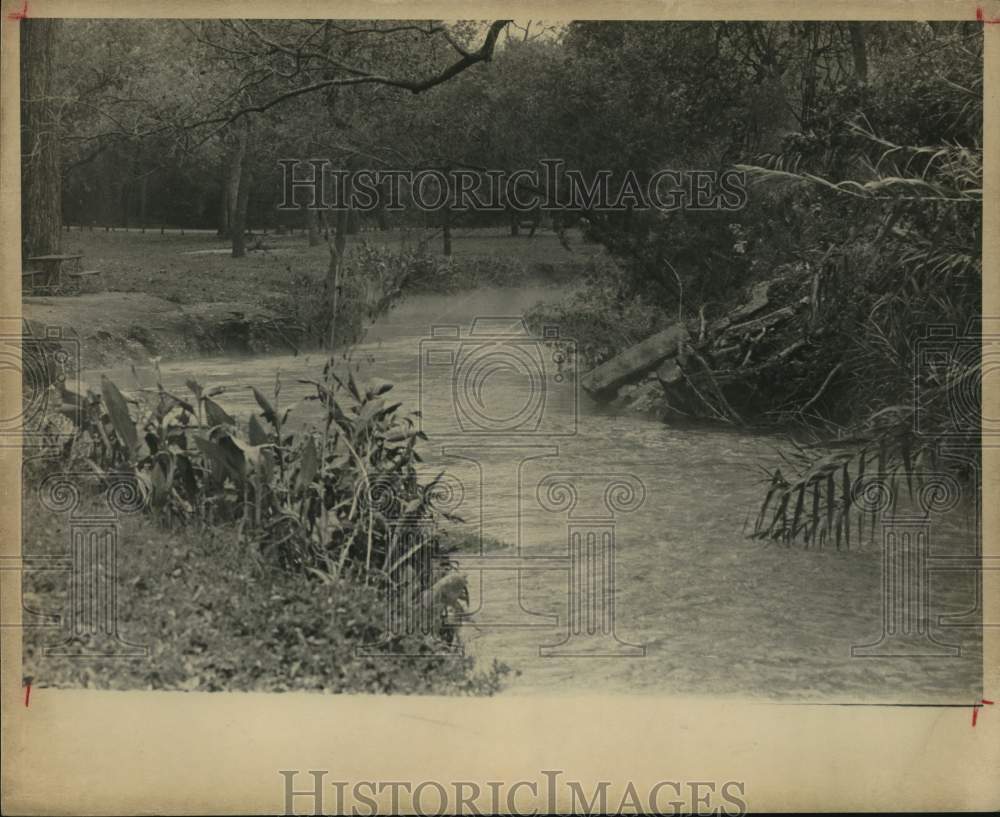 1968 San Antonio River Flows Through Brackenridge Park-Historic Images