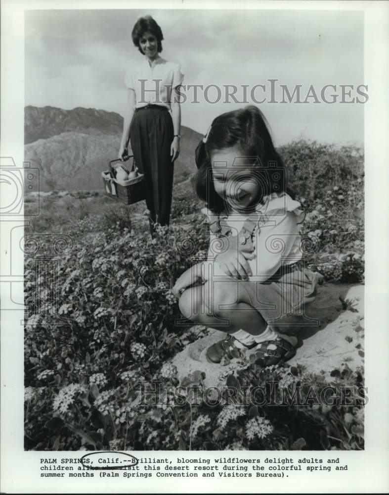 Palm Springs, California tourists enjoy blooming desert wildflowers-Historic Images