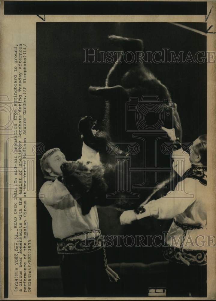 1975 Circus Bear Somersaults With Bjeljakov Acrobats, New York-Historic Images