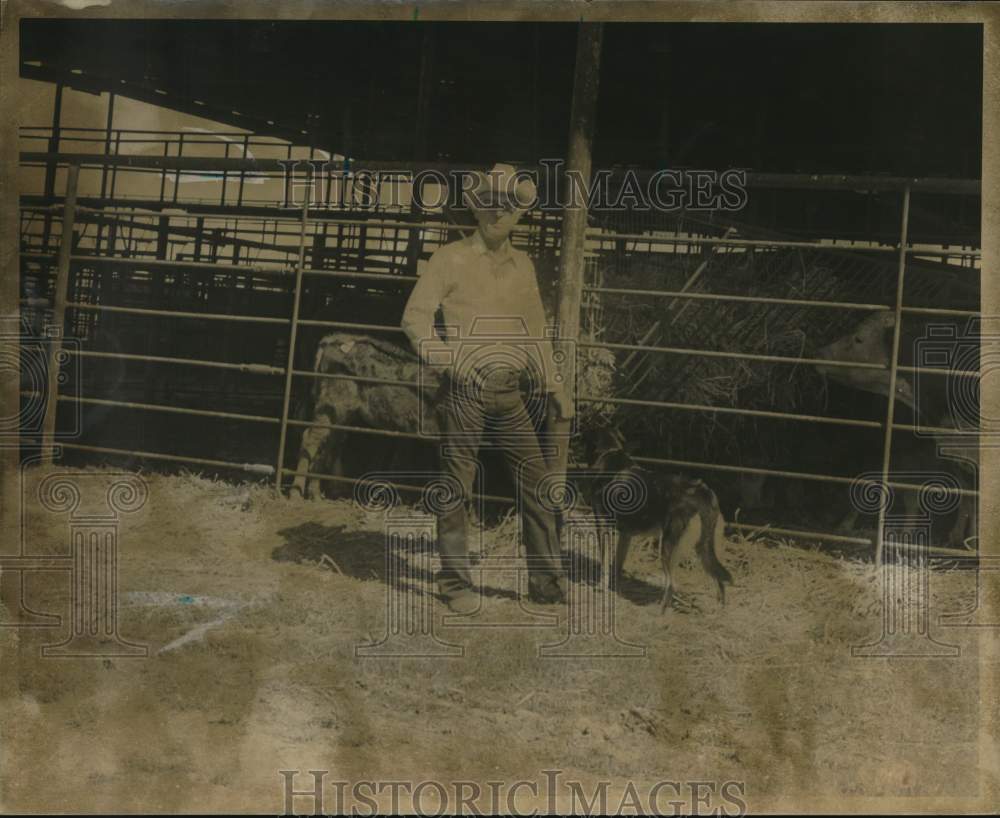 1977 Lone Star Livestock Commission&#39;s Buddy Groff stands at pen-Historic Images