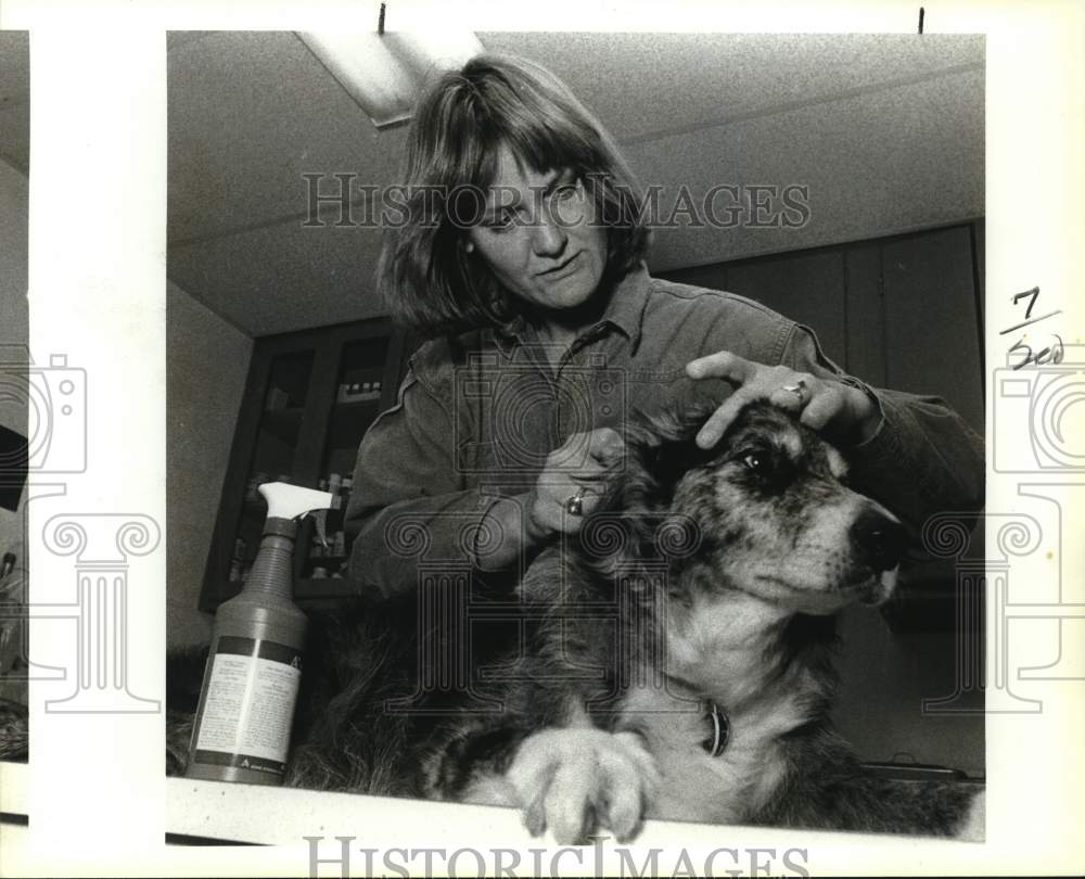 1990 Veterinarian Melissa Hill examines dog at animal clinic, Texas-Historic Images
