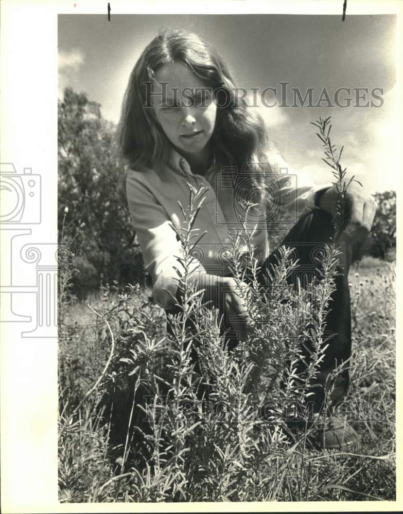 1984 Horticulturist Patty Leslie with Fourwing Saltbush plant-Historic Images