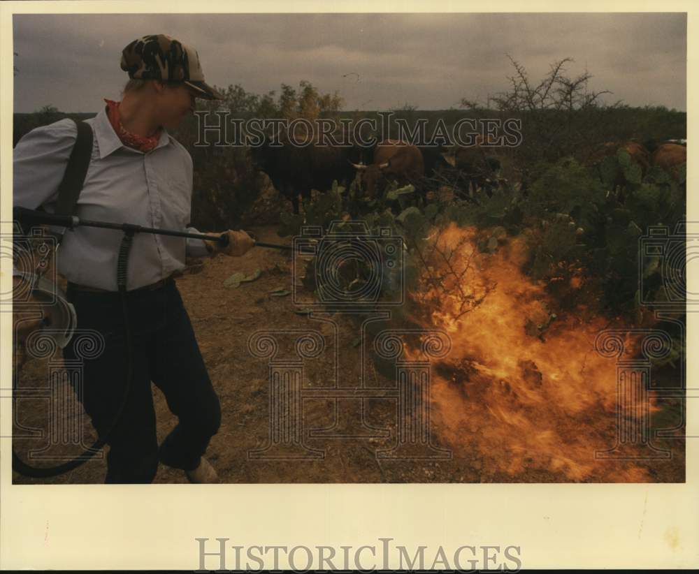 1988 Janet Neely burns prickly pear for cattle during drought, Texas-Historic Images