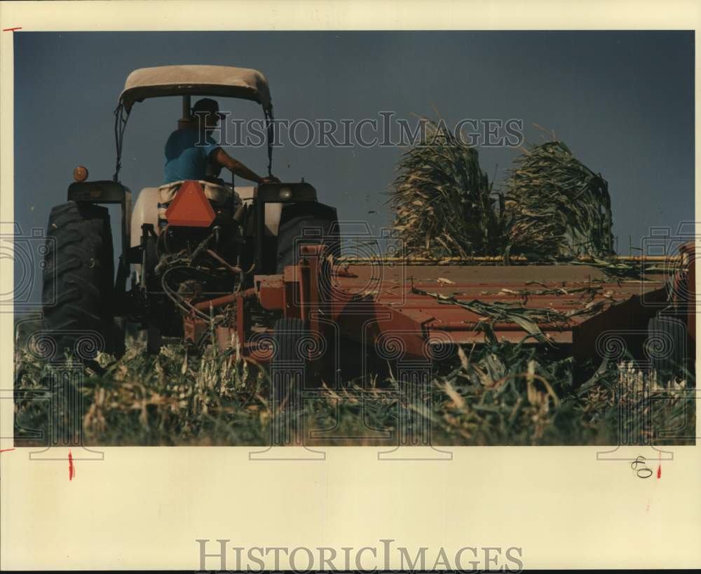 1989 Lee Vasbinder cutting corn for hay, Texas-Historic Images