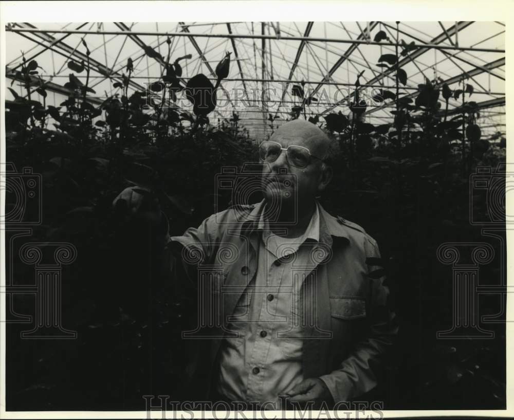 1993 Antonio Menchaca Checks Flowers In Monterrey Rose Gardens-Historic Images