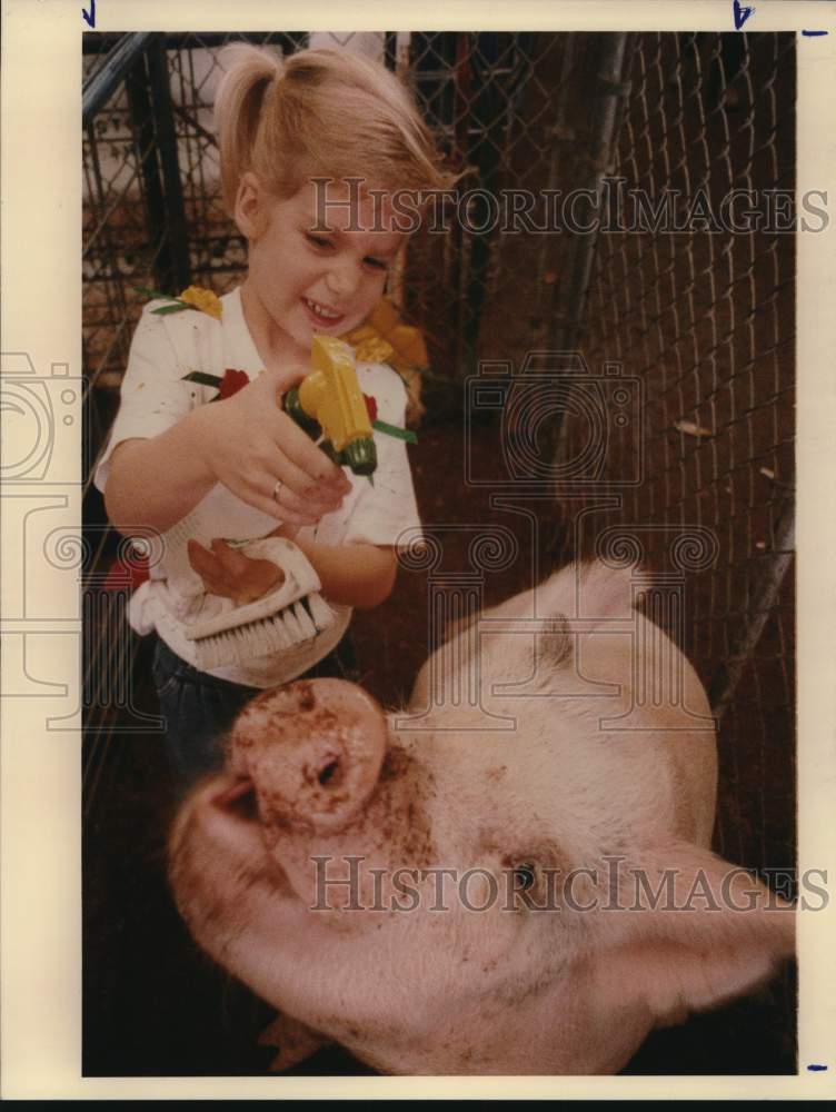 1989 Press Photo Johnna Haarmeger, 4, spraying lightweight cross pig, Texas - Historic Images