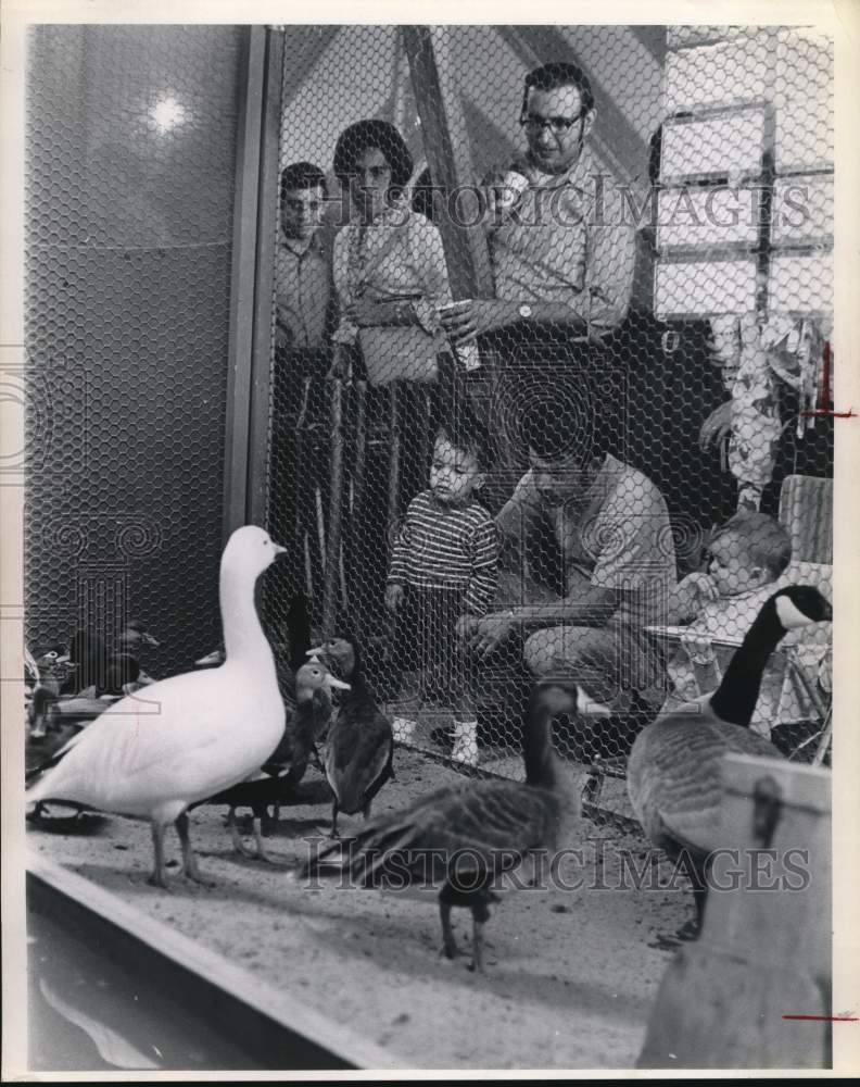 1971 Press Photo Texas Wildlife exhibit at the San Antonio Livestock and Rodeo- Historic Images