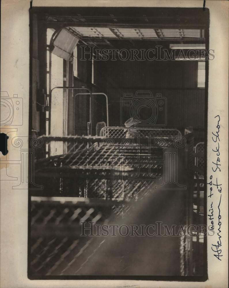 1977 Press Photo Gentleman relaxing at the San Antonio Stock Show and Rodeo, TX - Historic Images