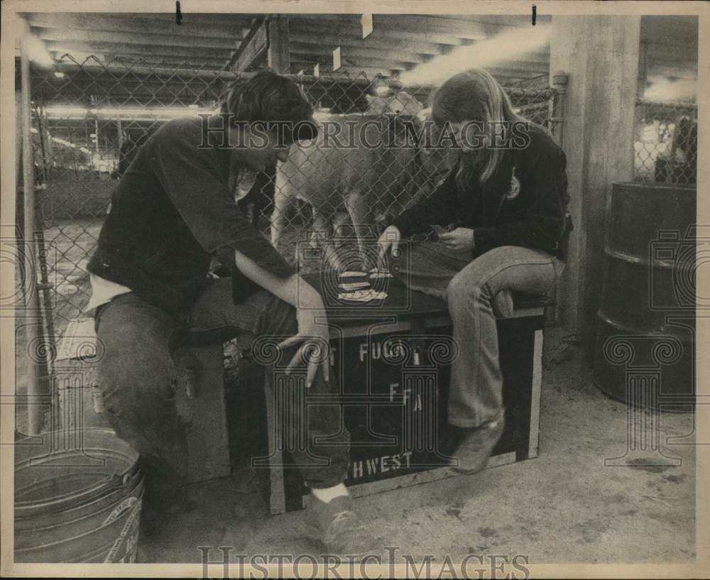 1977 Press Photo Couple playing cards at the San Antonio Stock Show &amp; Rodeo - Historic Images