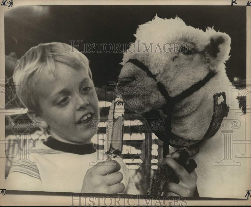 1977 Press Photo Stacy McIntyre with lamb at San Antonio Stock Show &amp; Rodeo - Historic Images