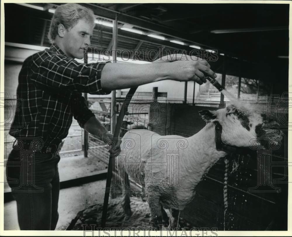 1986 Press Photo Allen Eckhardt &amp; lamb at the San Antonio Stock Show &amp; Rodeo - Historic Images