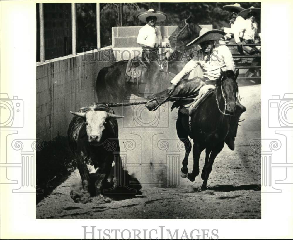1986 Press Photo Cola de Caballo routine at the Charro Ranch - saa62883- Historic Images