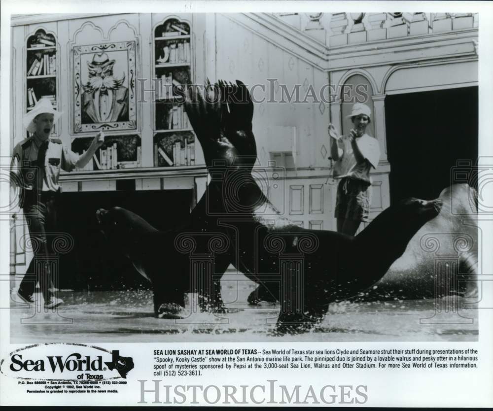 1992 Press Photo Sea Lions at Sea World of Texas &quot;Spooky, Kooky, Castle&quot; Show - Historic Images
