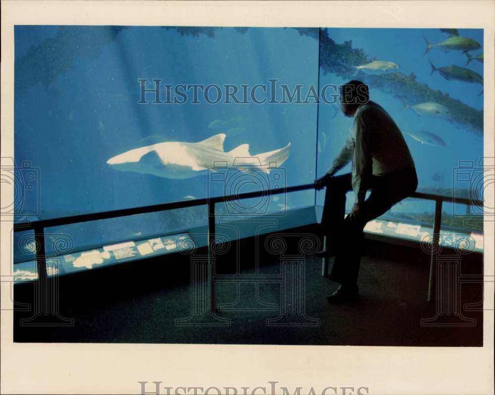 1991 Press Photo Visitor at the Texas State Aquarium in Corpus Christi, Texas- Historic Images