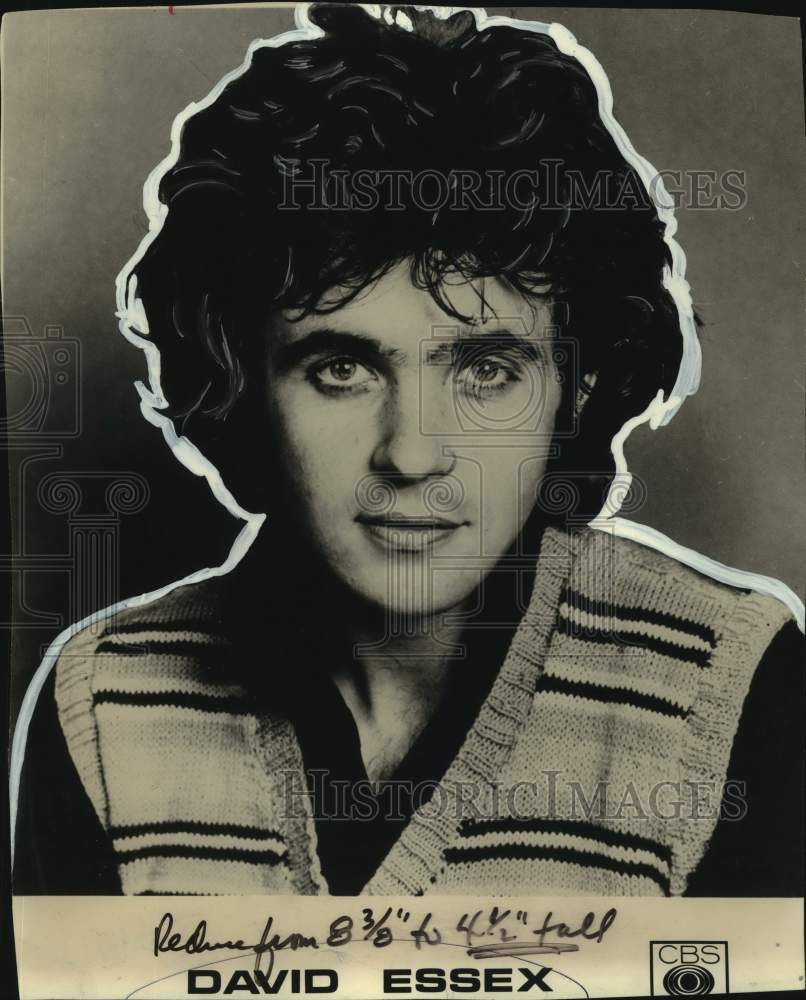 1974 Press Photo David Essex, English pop singer, songwriter and musician. - Historic Images