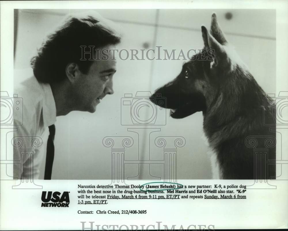 Press Photo James Belushi in a scene from K-9, presented on USA Network. - Historic Images