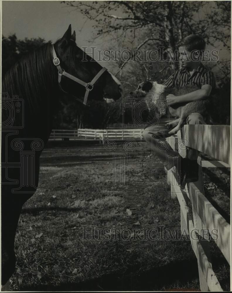 1959 Press Photo Actor David Ladd in show scene with horse and dog - Historic Images