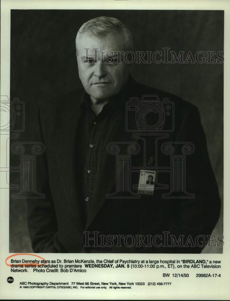 1993 Press Photo Actor Brian Dennehy in Television's "Birdland" Series- Historic Images