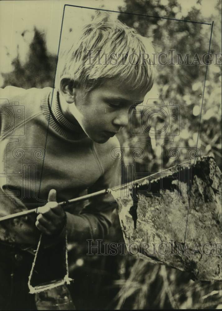 Press Photo Son of John Paling in "The Making of A Natural History Film" on TV - Historic Images