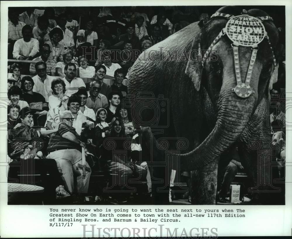 Press Photo Ringling Bros. &amp; Barnum &amp; Bailey Circus Elephant Performs to Crowd - Historic Images