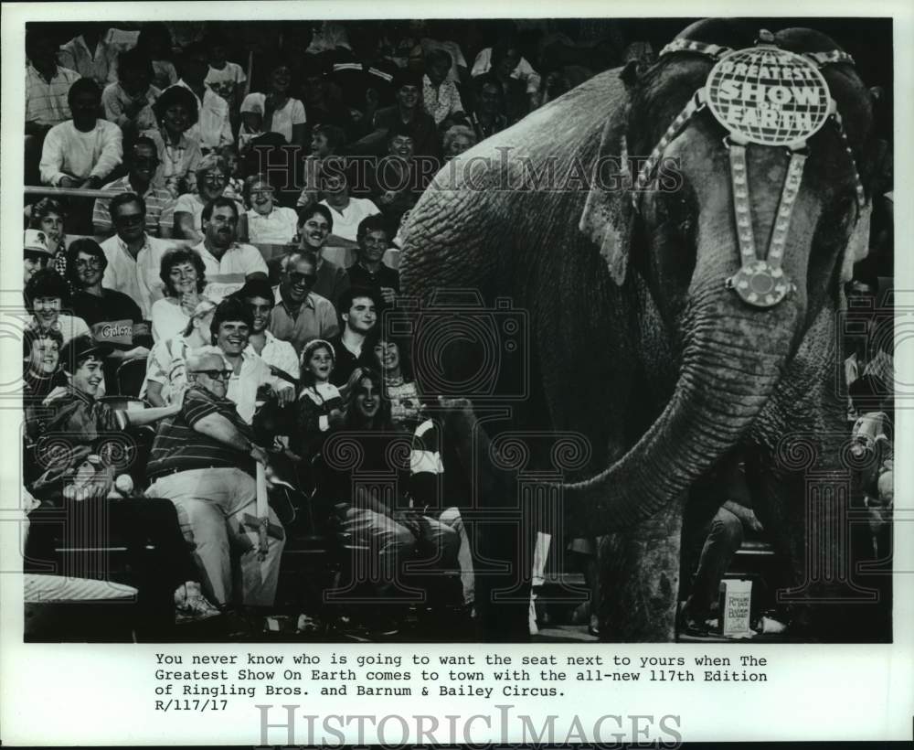 Press Photo Ringling Bros. & Barnum & Bailey Circus Elephant Performs to Crowd - Historic Images