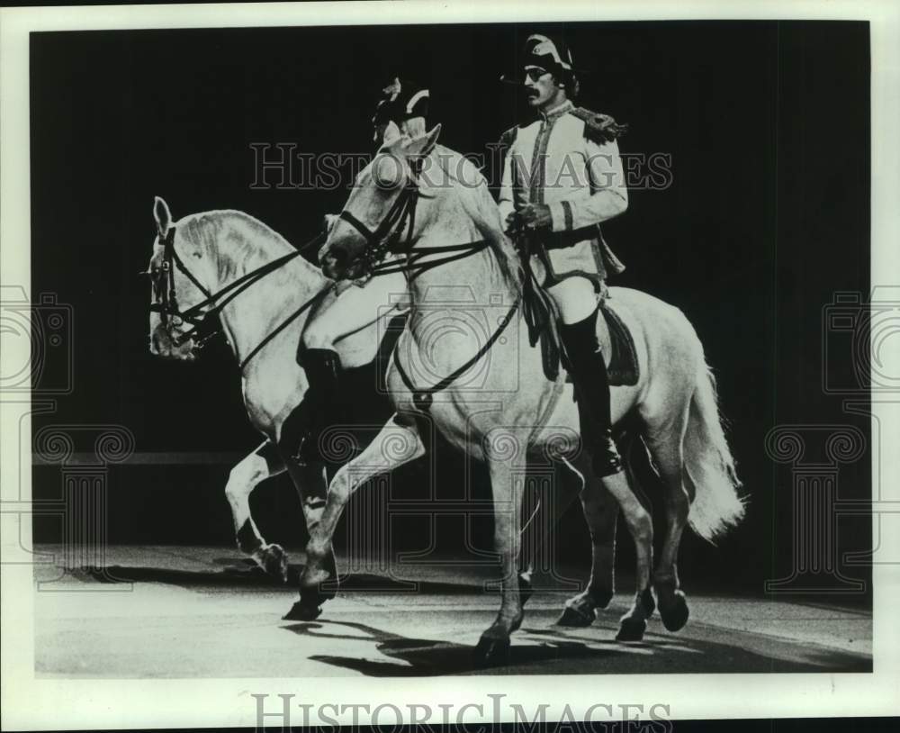 1983 Press Photo Royal Lipizzan Stallions Perform - sap59123- Historic Images