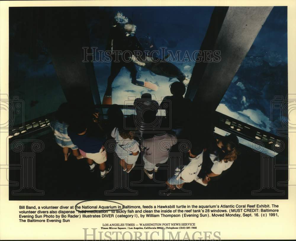 1991 Press Photo Diver Feeding Fish at National Aquarium in Baltimore - Historic Images