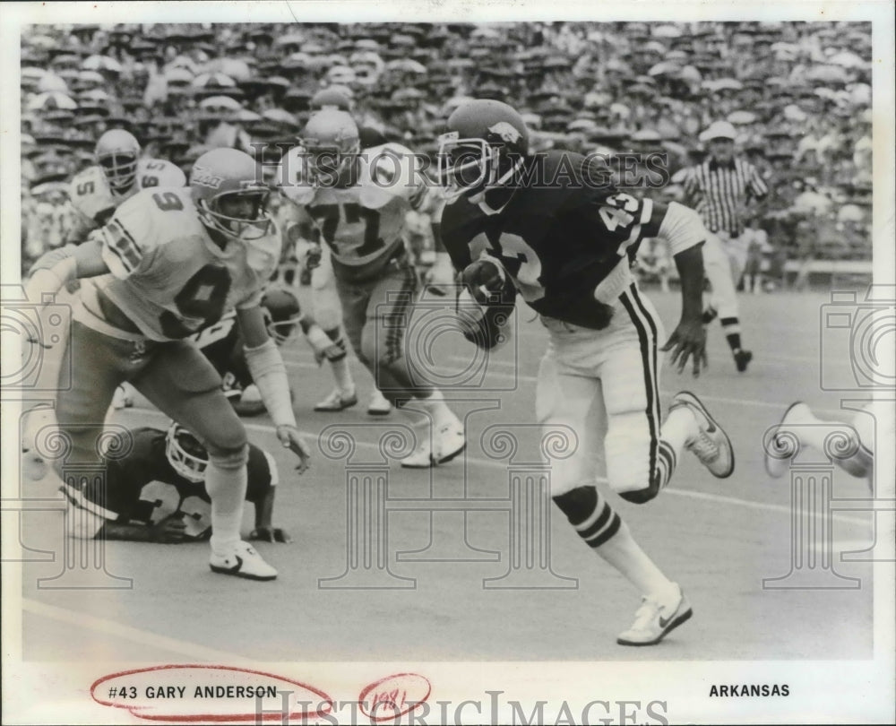 1981 Press Photo #43 Gary Anderson, Arkansas Football - sas02399- Historic Images