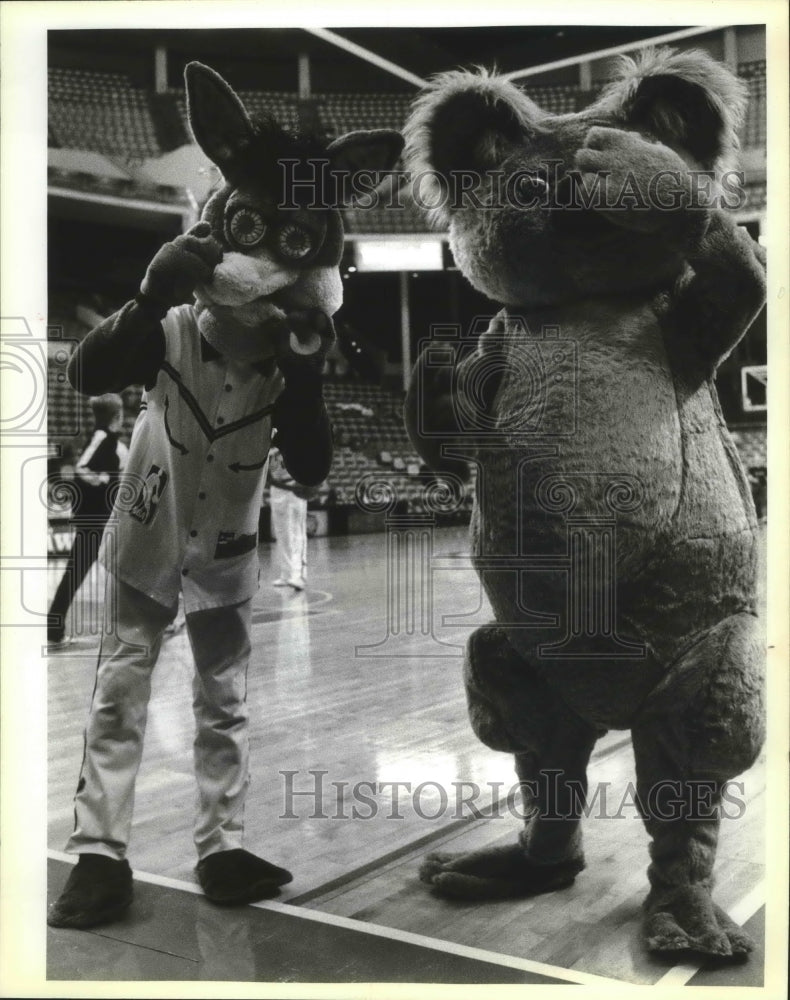 1989 Press Photo Spurs Coyote and new Zoo Koala mascot - sas02722- Historic Images