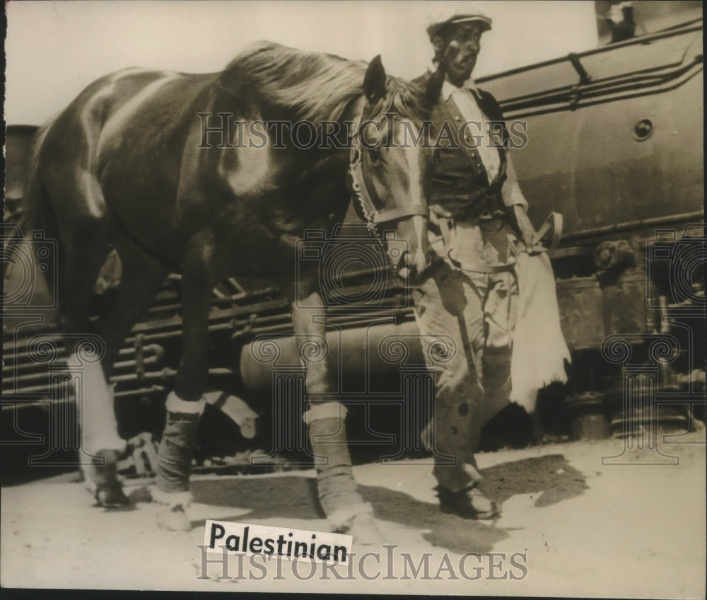 Palestinian Man with Horse at Train-Historic Images