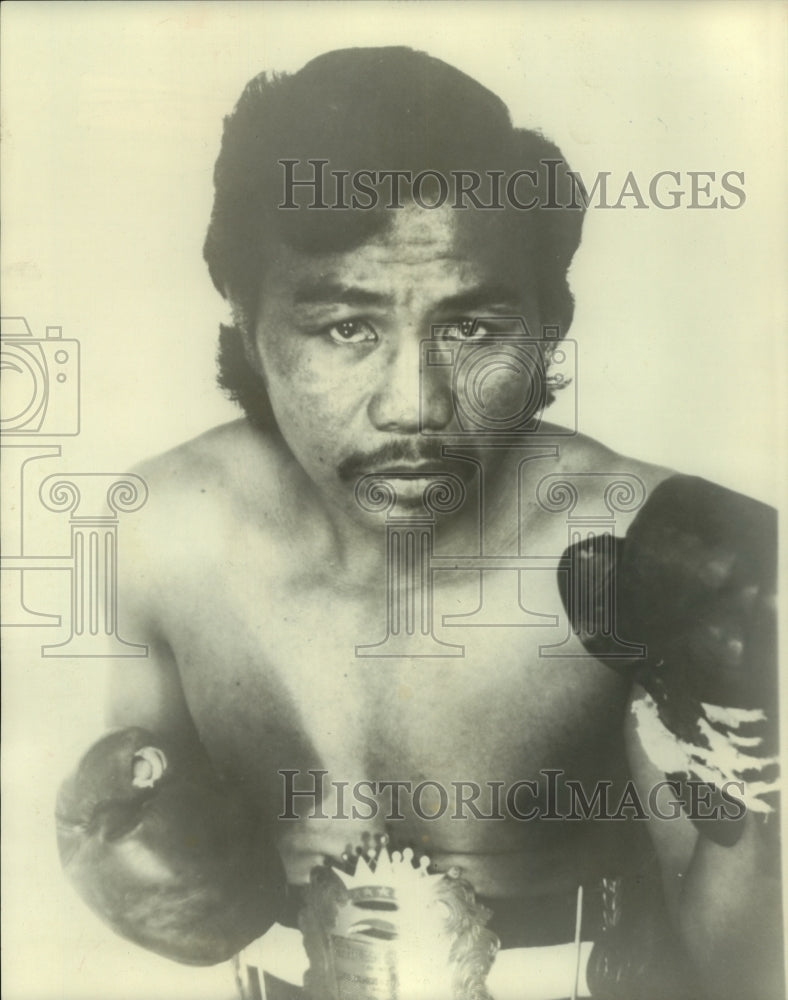 Boxer, Francisco Croz-Historic Images