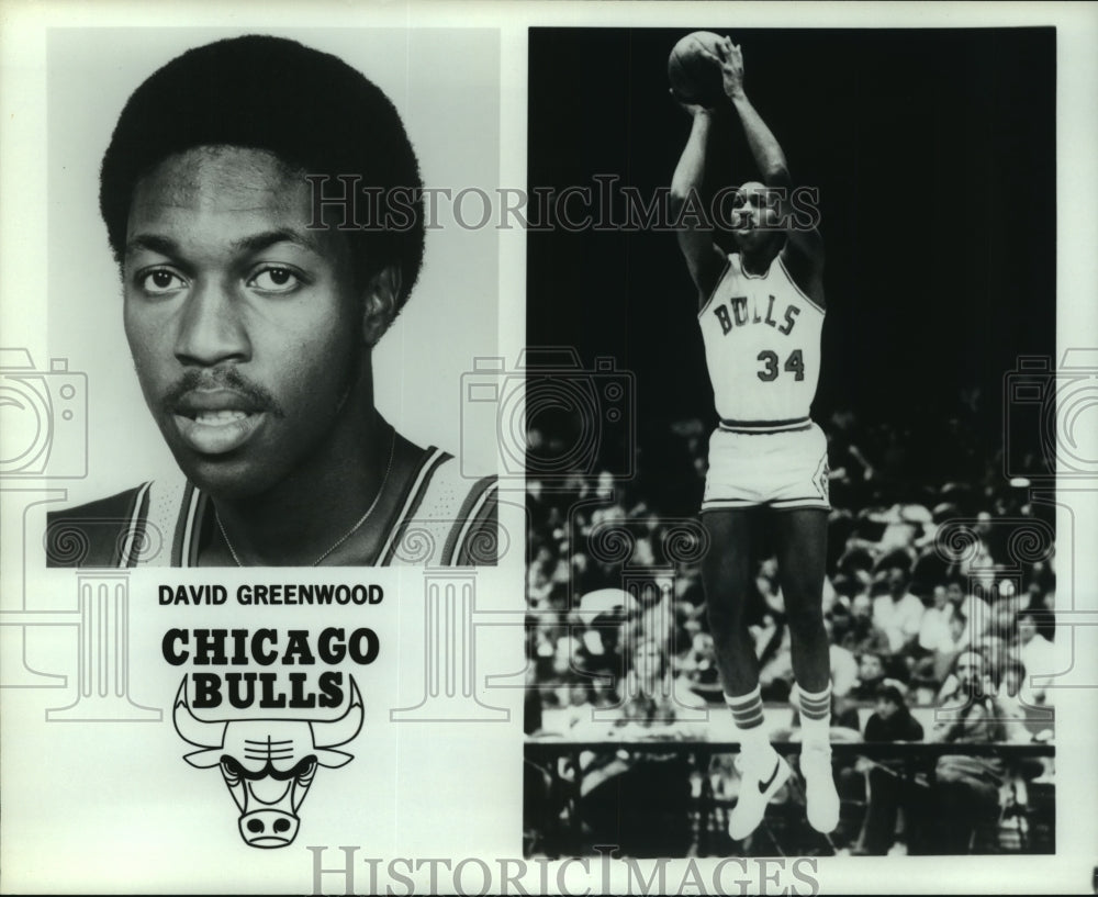 Press Photo Chicago Bulls basketball player David Greenwood - sas05245- Historic Images