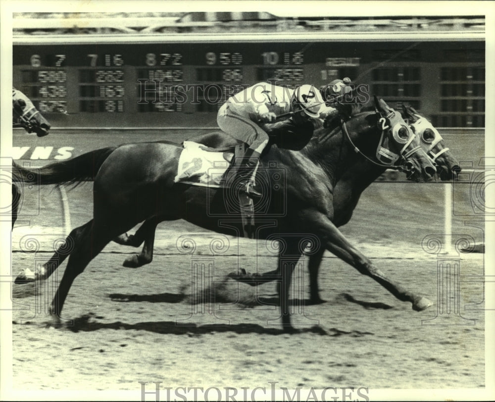 Race Horse Bold Drill Ridden by Jockey at Race-Historic Images