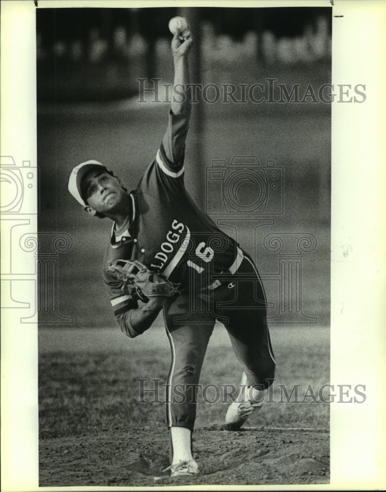 1987 Press Photo David Vallejo, Burbank High School Baseball Pitcher - sas07666 - Historic Images