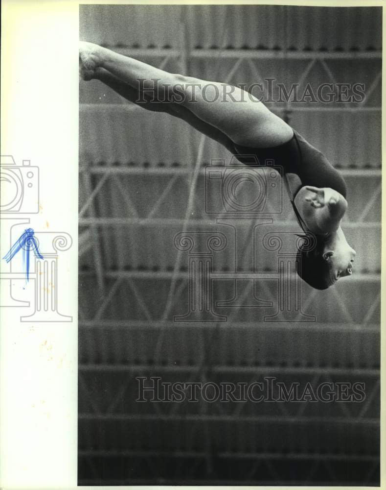 1990 Press Photo MacArthur High School Diver Janette Stephenson Reverse Dives- Historic Images