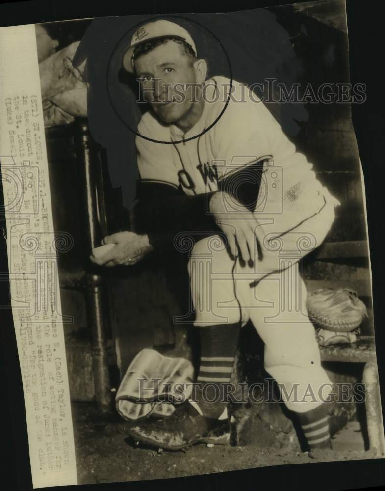 1946 Press Photo St. Louis Browns Baseball Manager James W. Taylor in Dugout - Historic Images