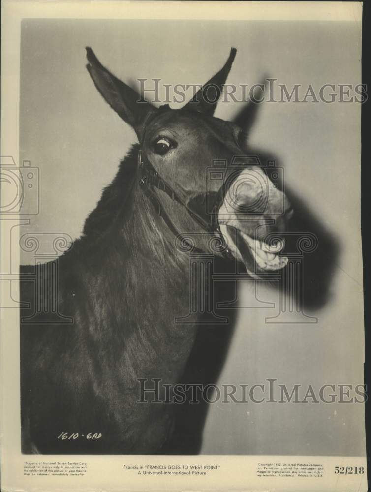 1952 Press Photo Francis the Horse in "Francis Goes to West Point" movie - Historic Images