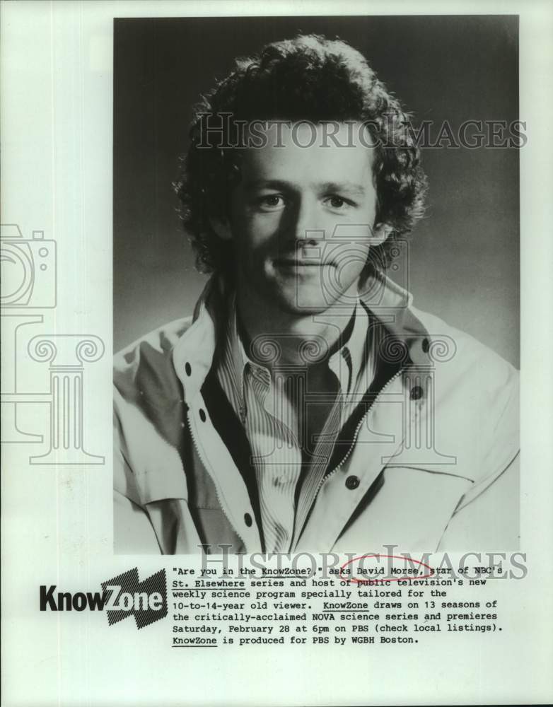 Press Photo Actor David Morse in &quot;Are you in the KnowZone?&quot; on PBS - Historic Images