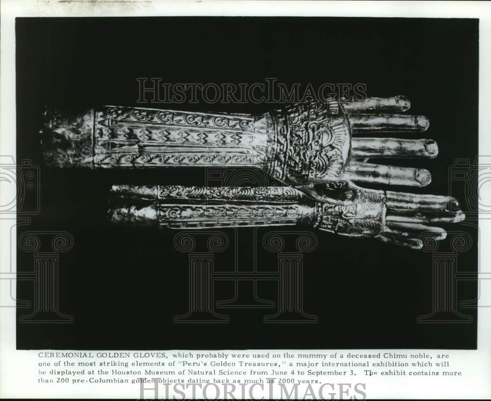 Press Photo Ceremonial golden gloves on display at Houston Museum of Science- Historic Images
