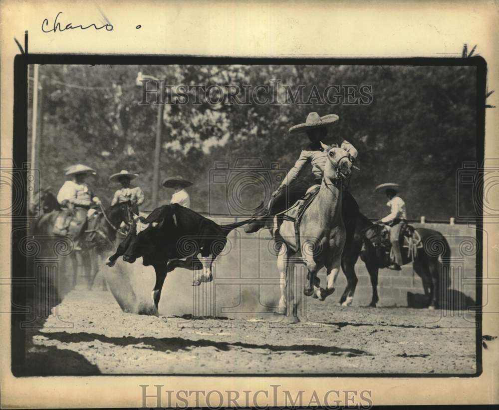 Press Photo San Antonio Charro Ranch riding performance and rodeo competition - Historic Images