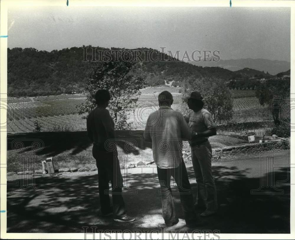 1983 Press Photo A trio of men at Stag&#39;s Leap Winery vineyards - sax25520- Historic Images
