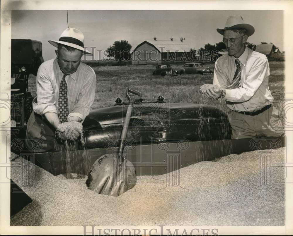 1945 Press Photo Charles H. Loftus, S.E. Lewis with Wheat in Frederick, Oklahoma - Historic Images