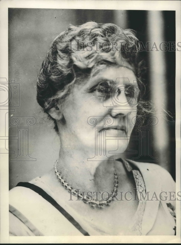 1929 Press Photo Mrs.Virgil McClure President of American War Mothers-Historic Images