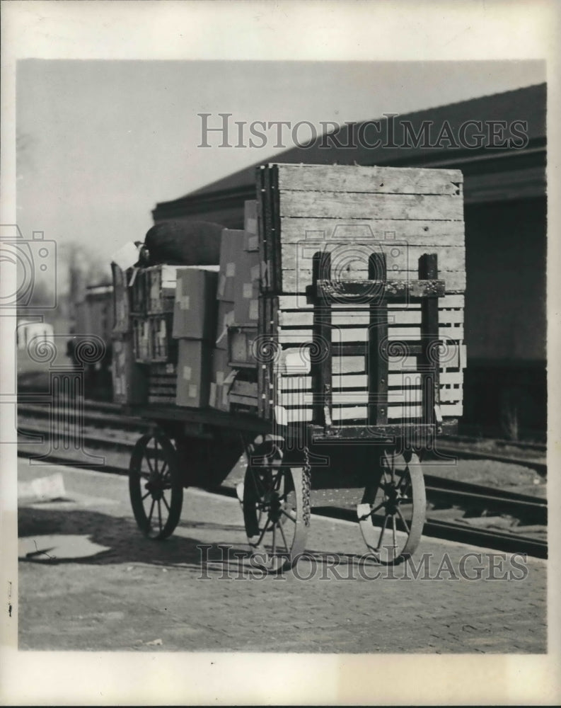 Press Photo Same cats in one of five crates of laboratory bound pets-Historic Images